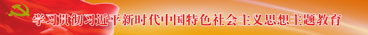 學習貫徹習近平新時代中國特色社會主義思想主題教育